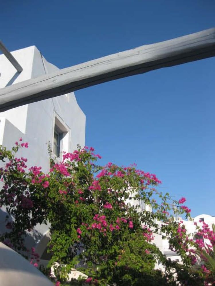 Фото Atlantis Beach Villa