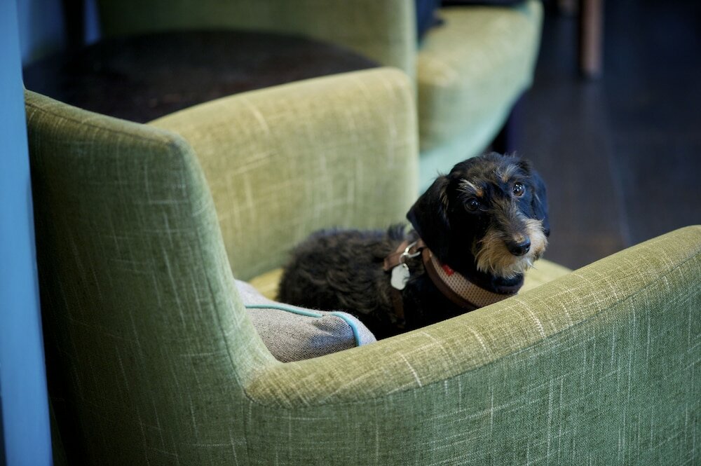 Фото The Lodge Hotel Putney