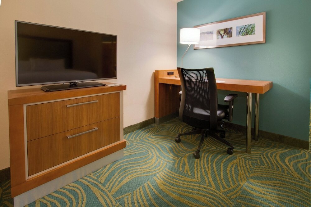 Фото SpringHill Suites by Marriott Orlando Lake Buena Vista South