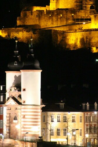 Внешний вид отеля Hotel Zur Alten Brücke в Гейдельберге, фото 5