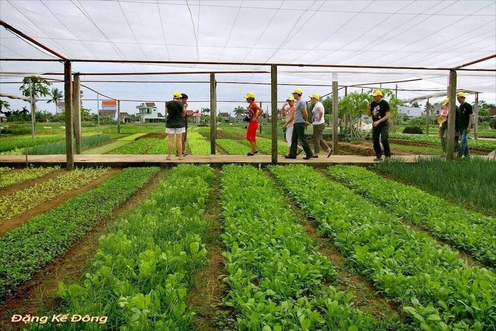 Фото Dong Nguyen Homestay Riverside
