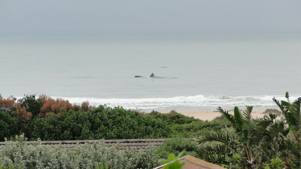 Фото Bluewater Beach Accommodation