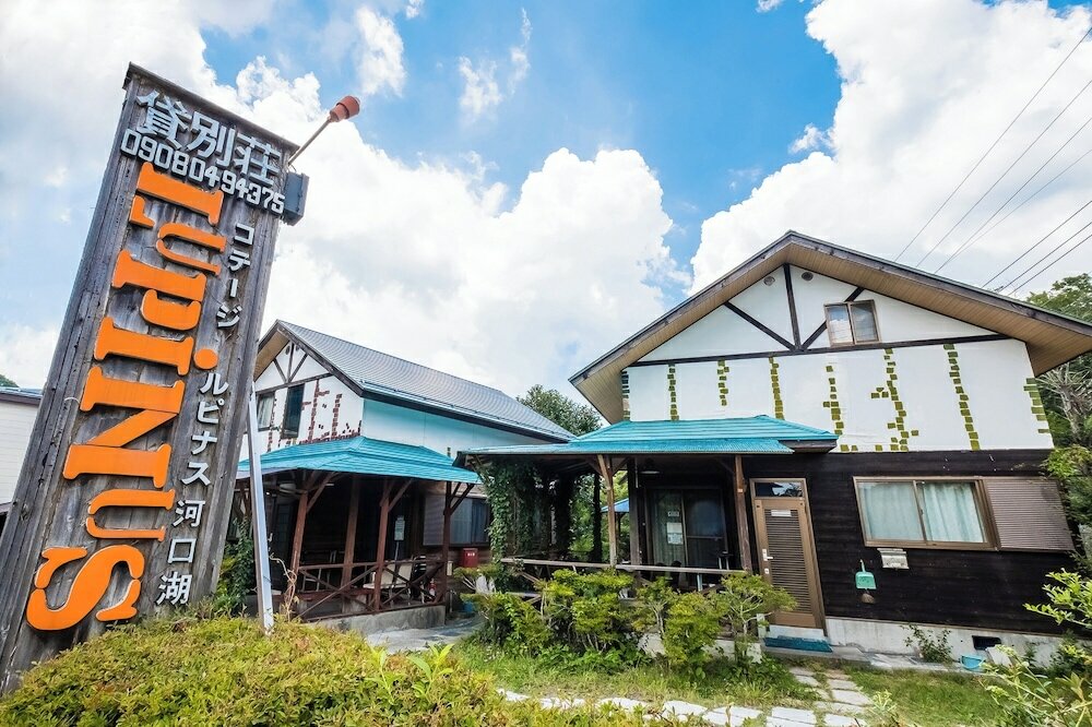 Фото Lupinus Kawaguchiko