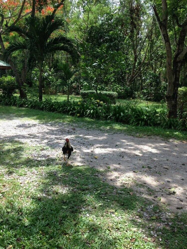 Фото Ruen Thai Rim Haad Resort