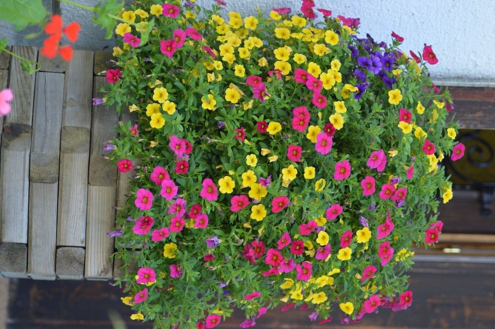 Фото Haus Susanne