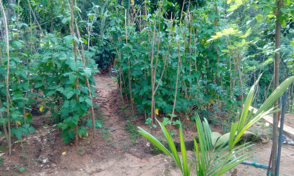 Фото Miracle Villa