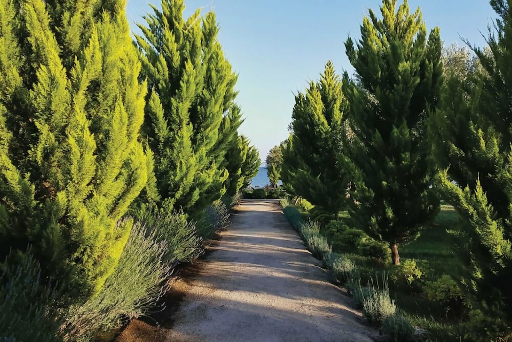 Фото Manici Kasri