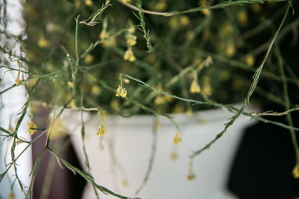 Фото Villa de Donatis Charming Guest House