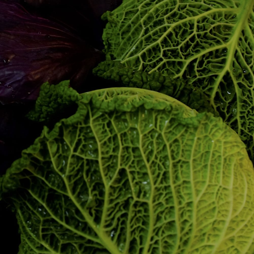 Фото Agriturismo Al Marnich