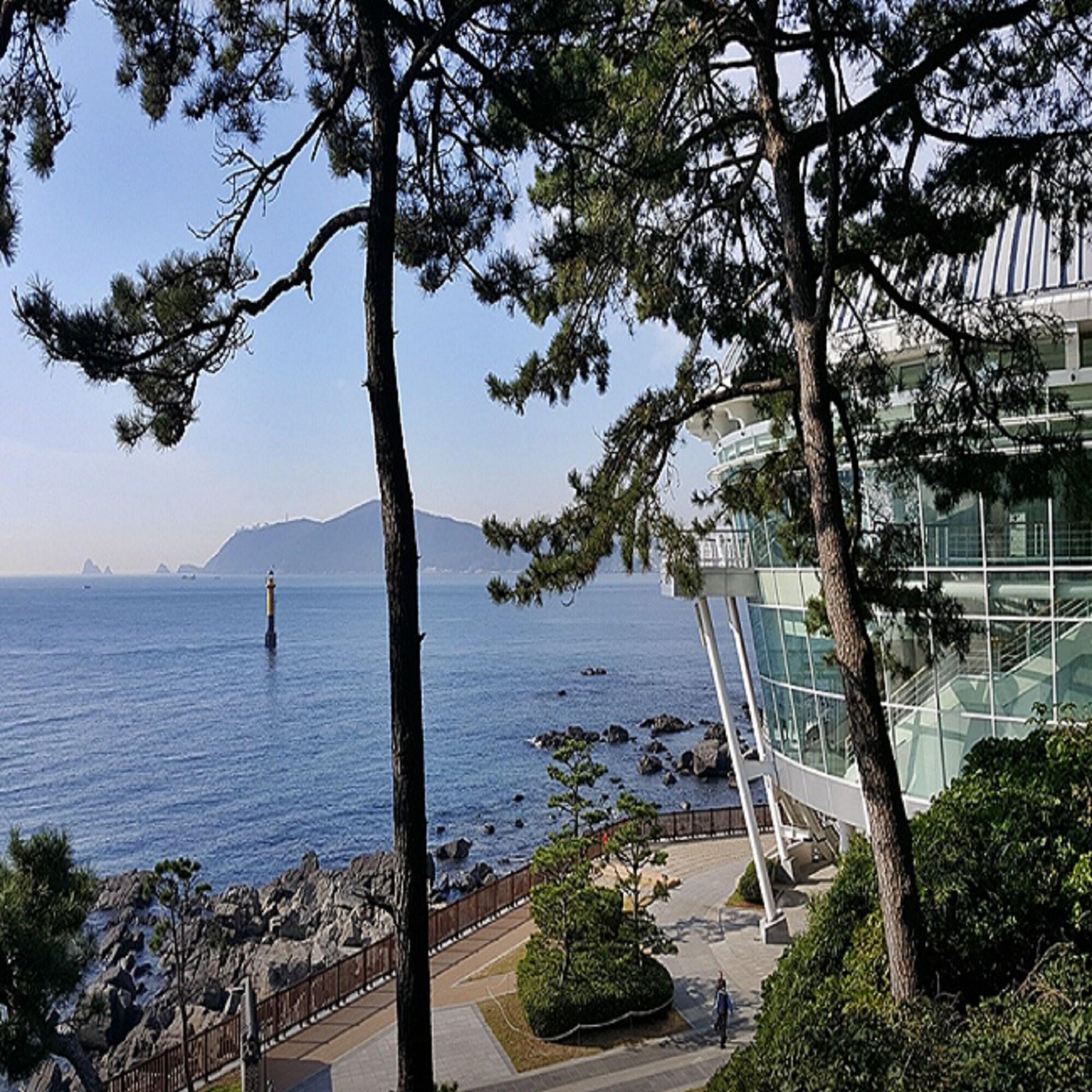 Фото Haeundae Seacloud Hotel Residence