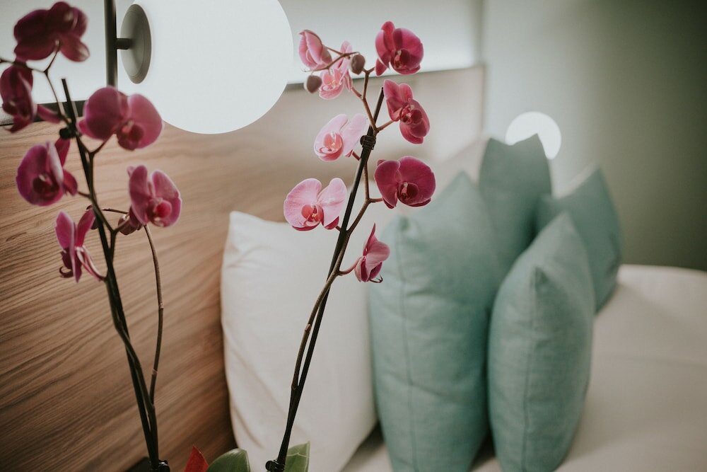 Фото Hotel Catalina Plaza