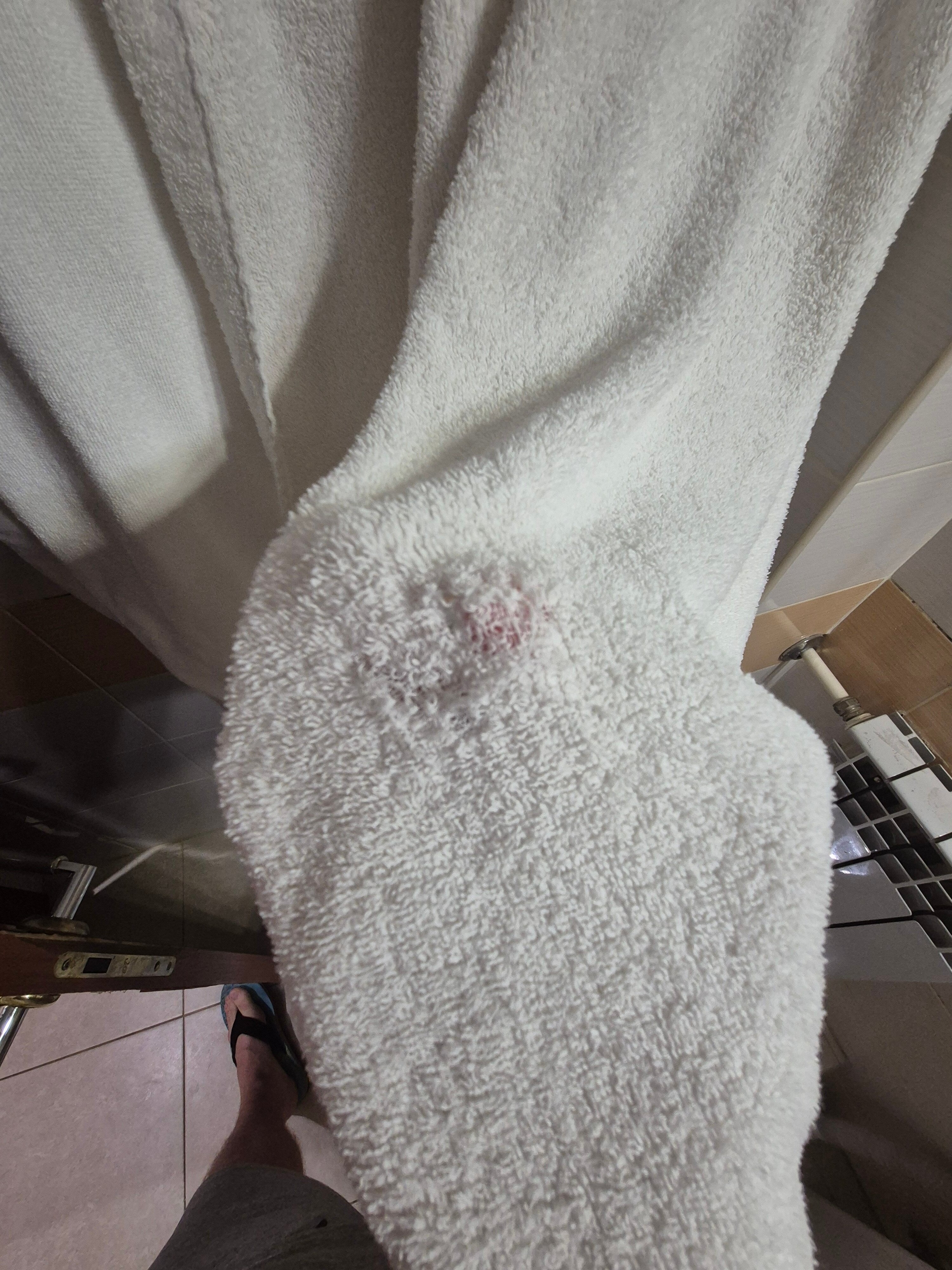 Фото Бригантина