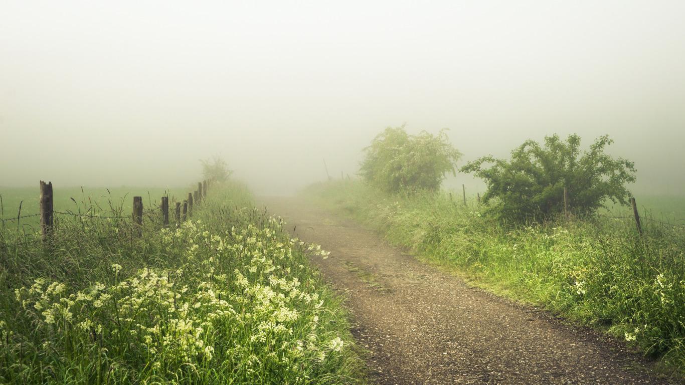 Фото Старый хутор