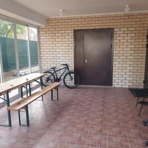 Фото Амигос