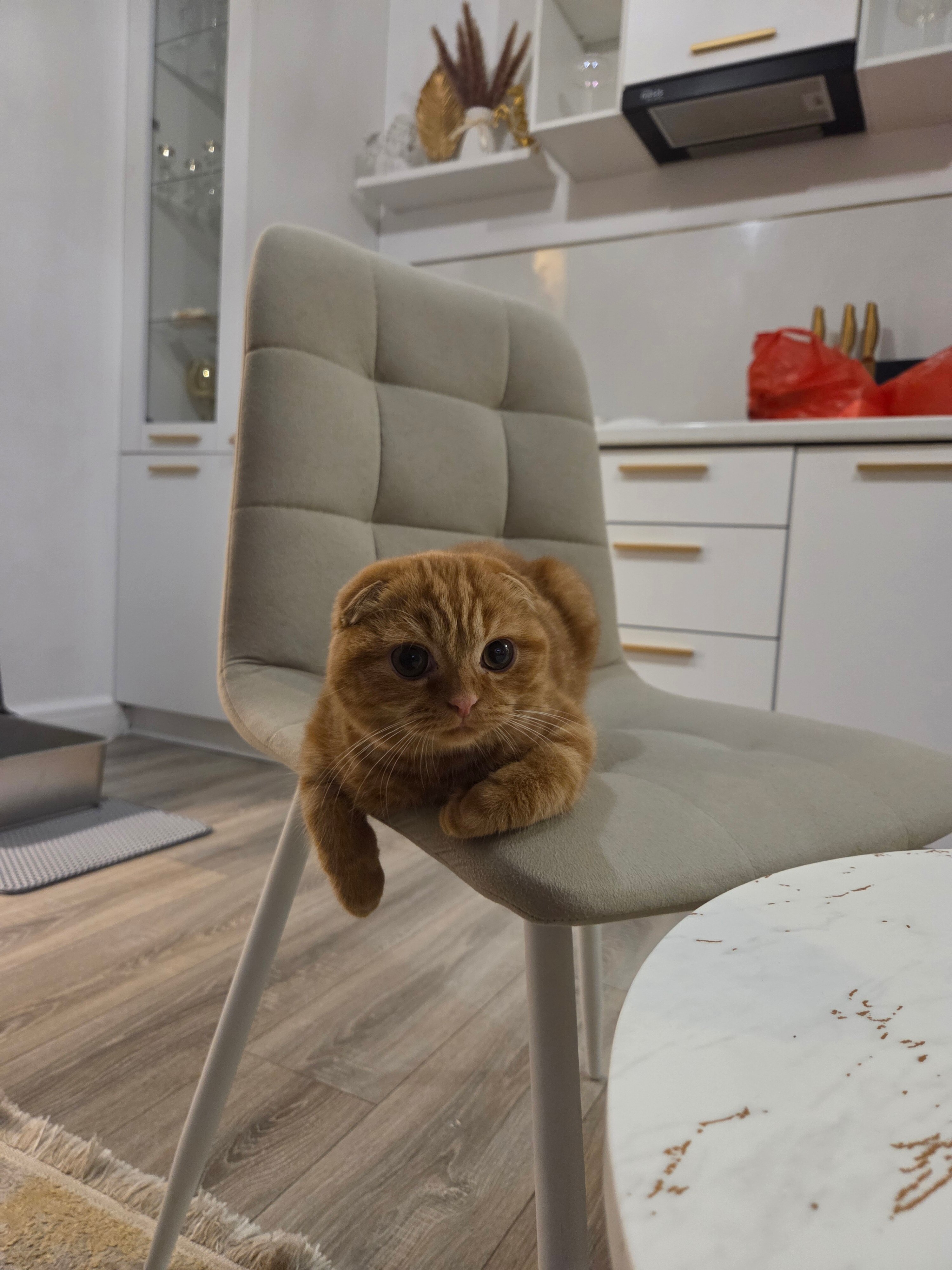 Фото Golden Sand