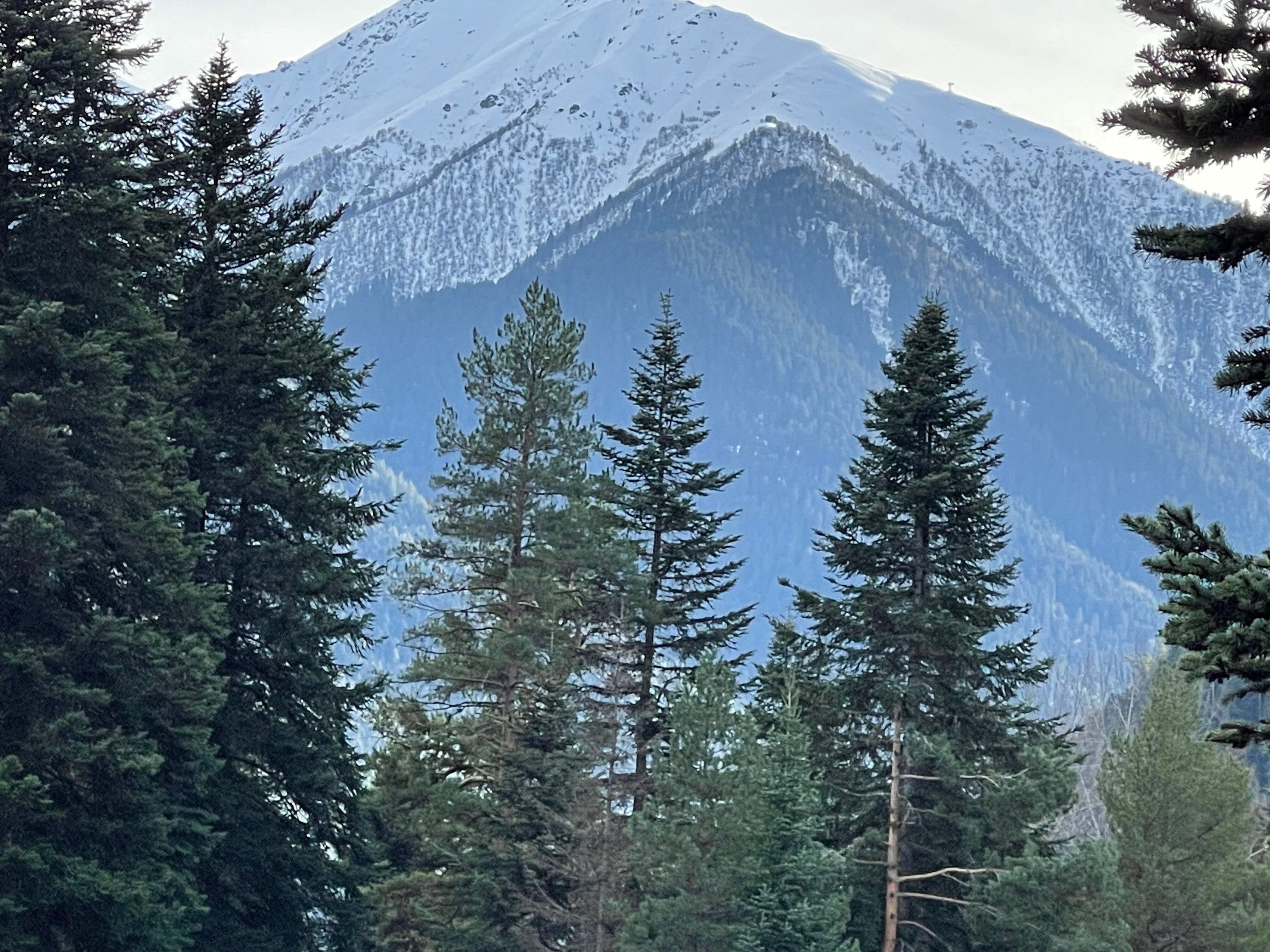 Фото Chalet Monte