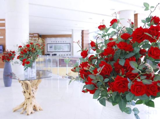 Фото High Castle Resort