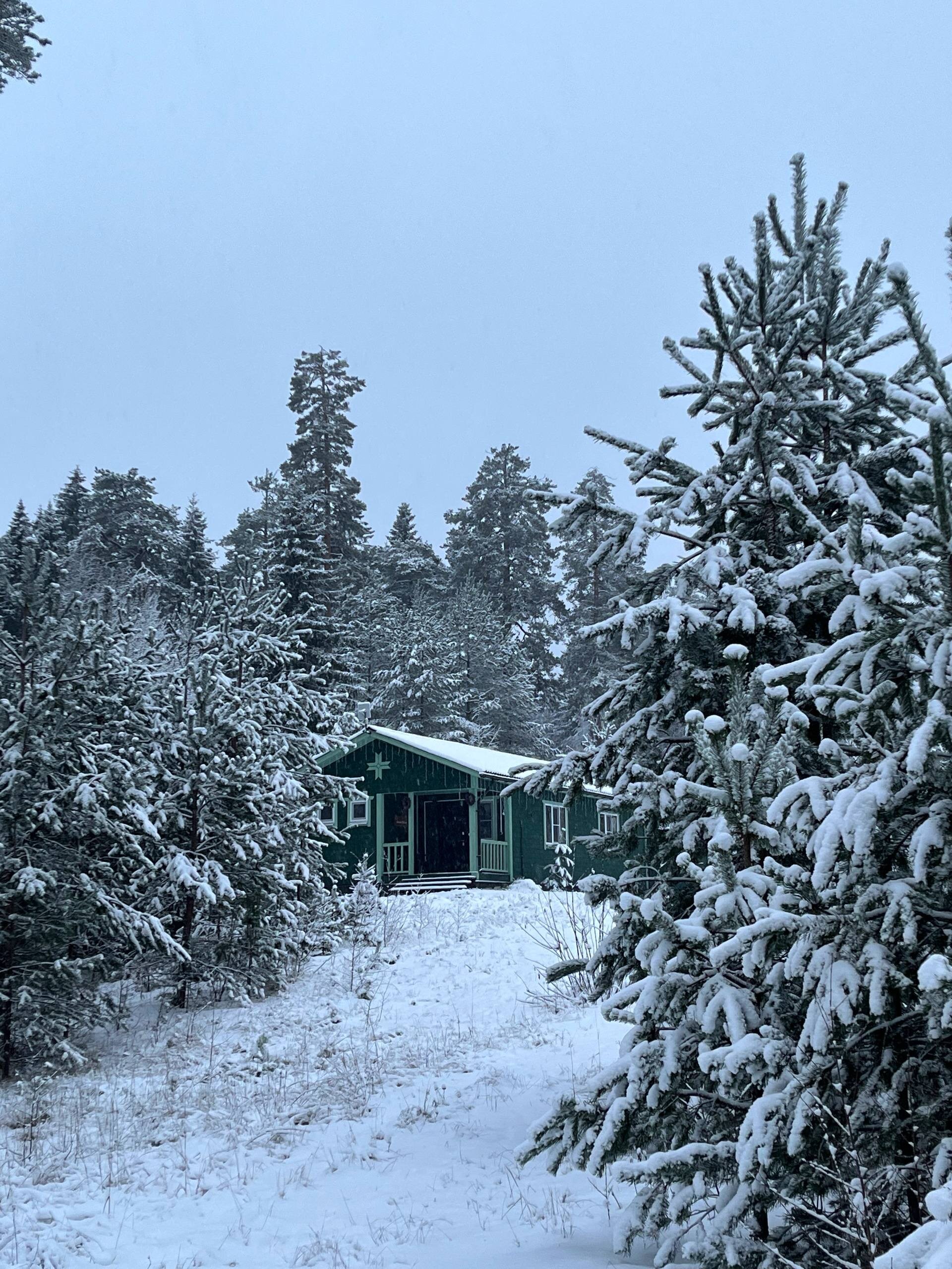 Фото Вереск