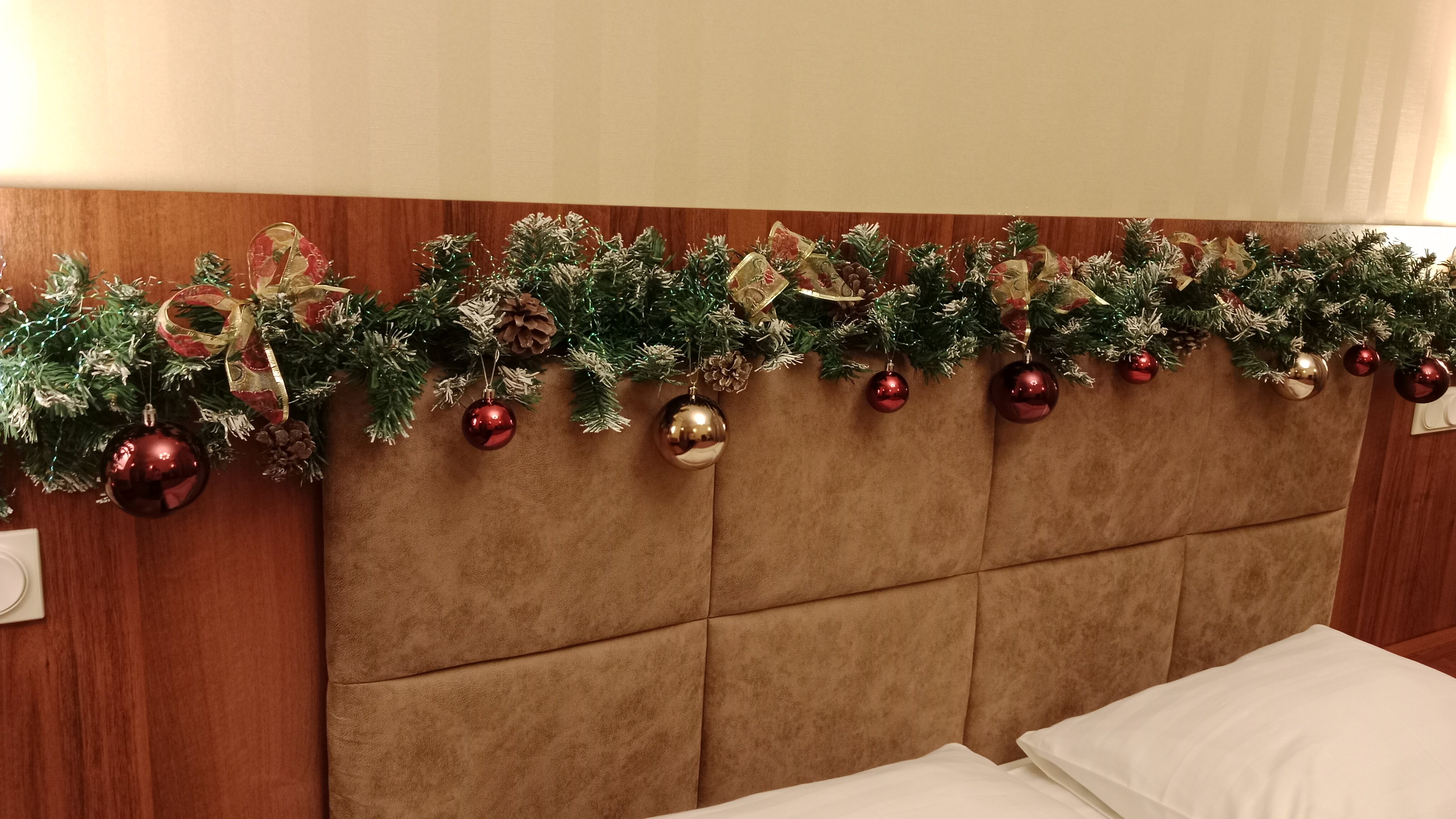 Фото My Favourite Garden