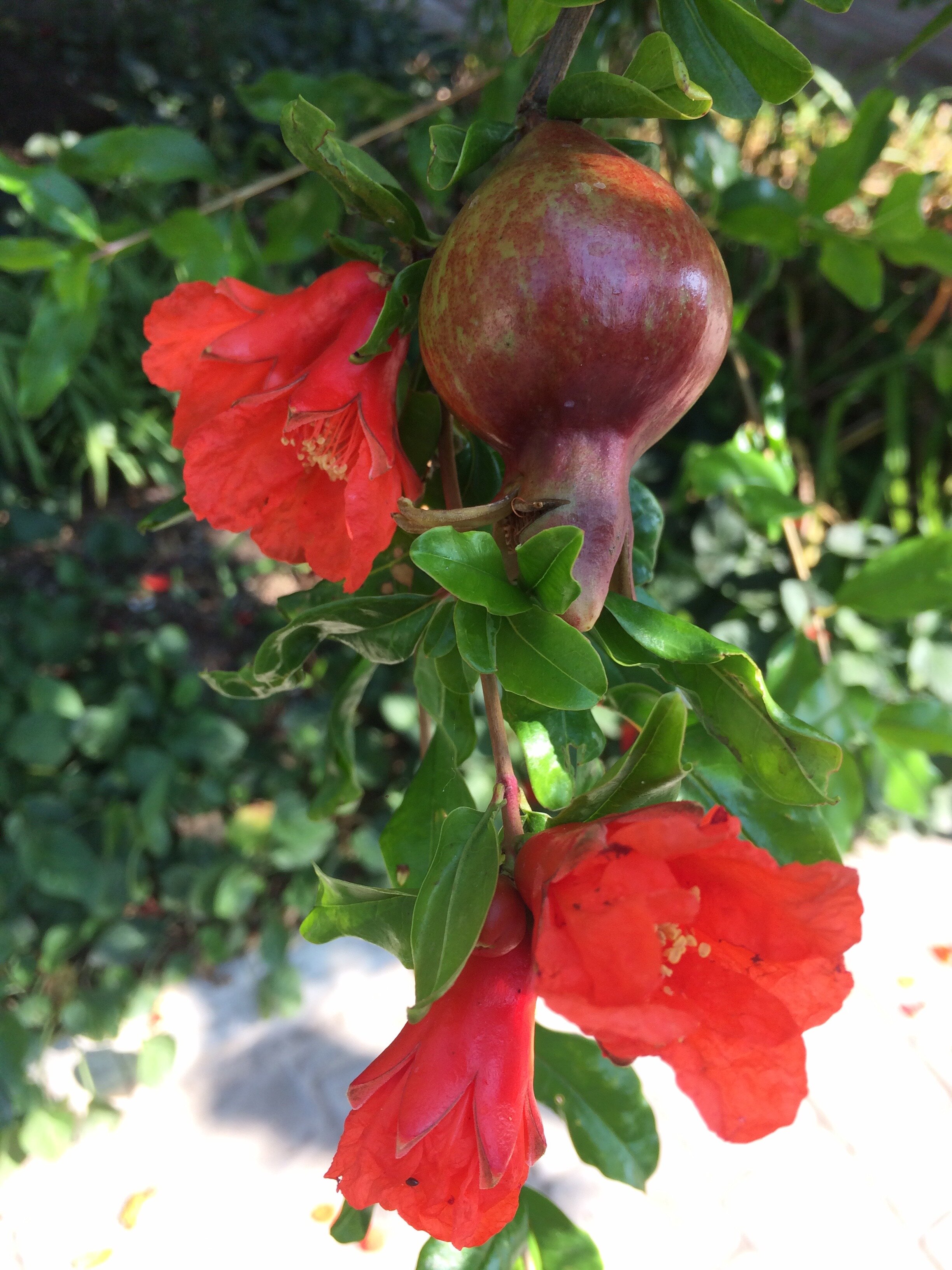 Фото Гостевой дом Прекрасная гавань