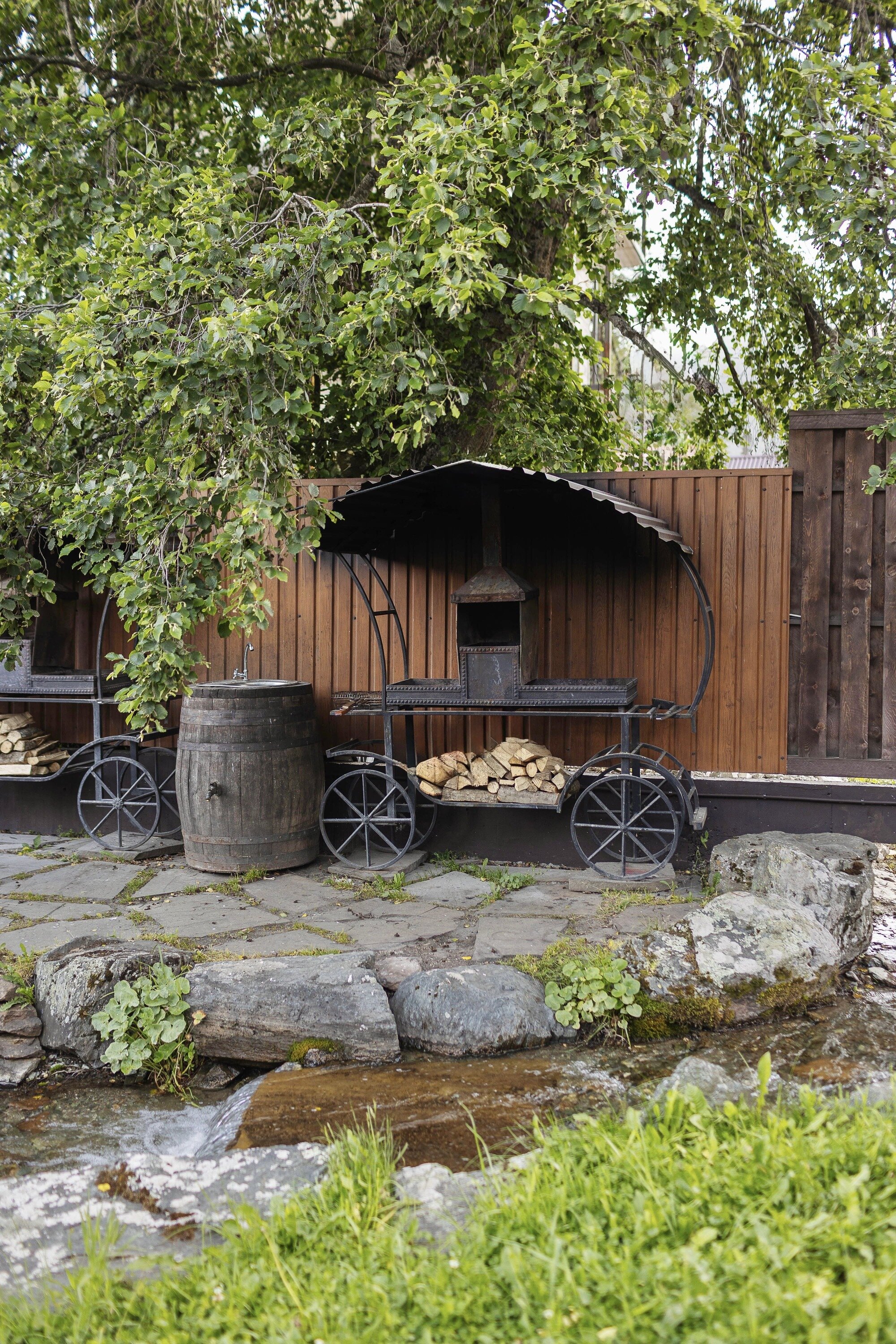 Фото Горная Роза