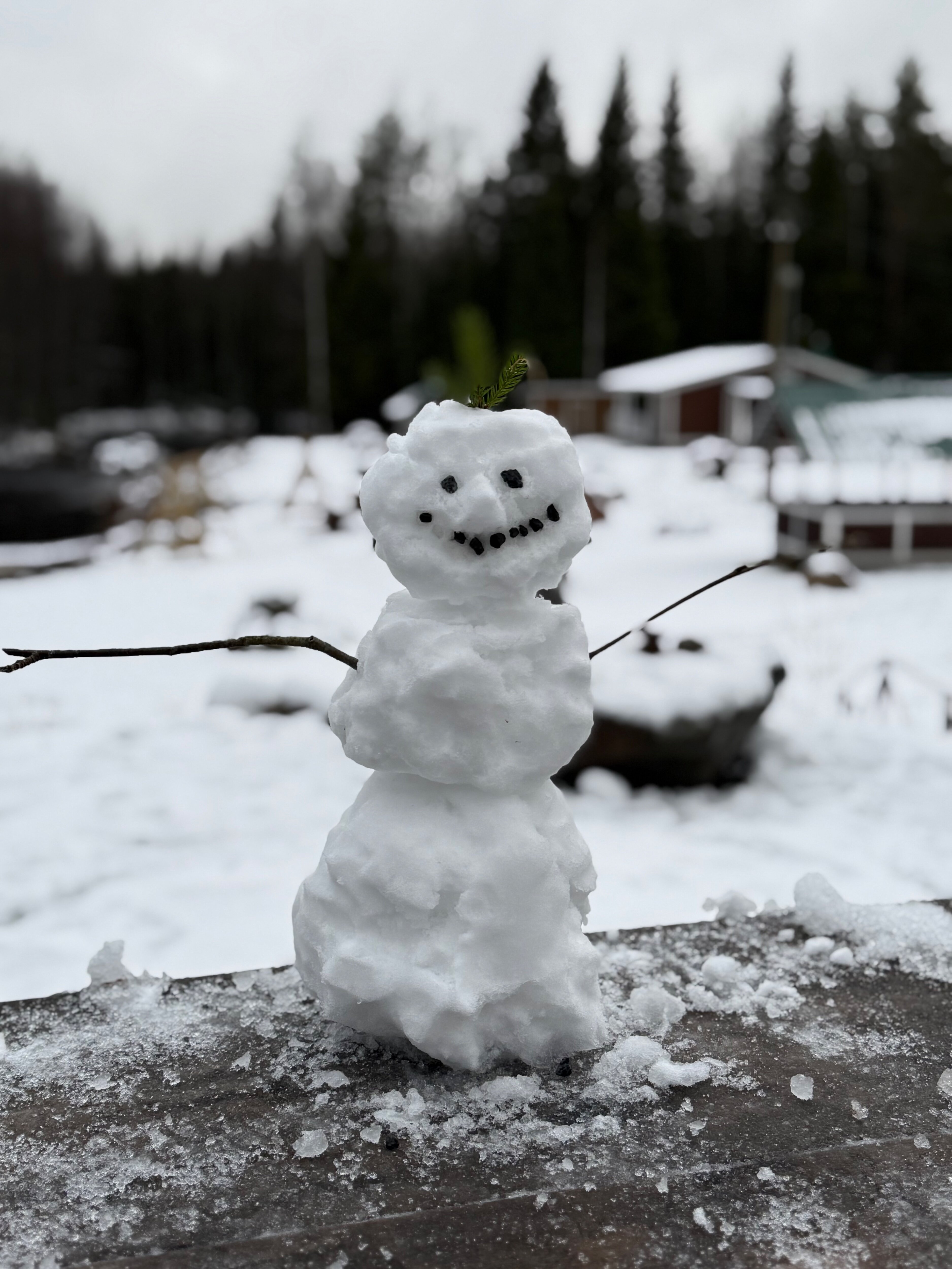 Фото Хутор Тохмайоки