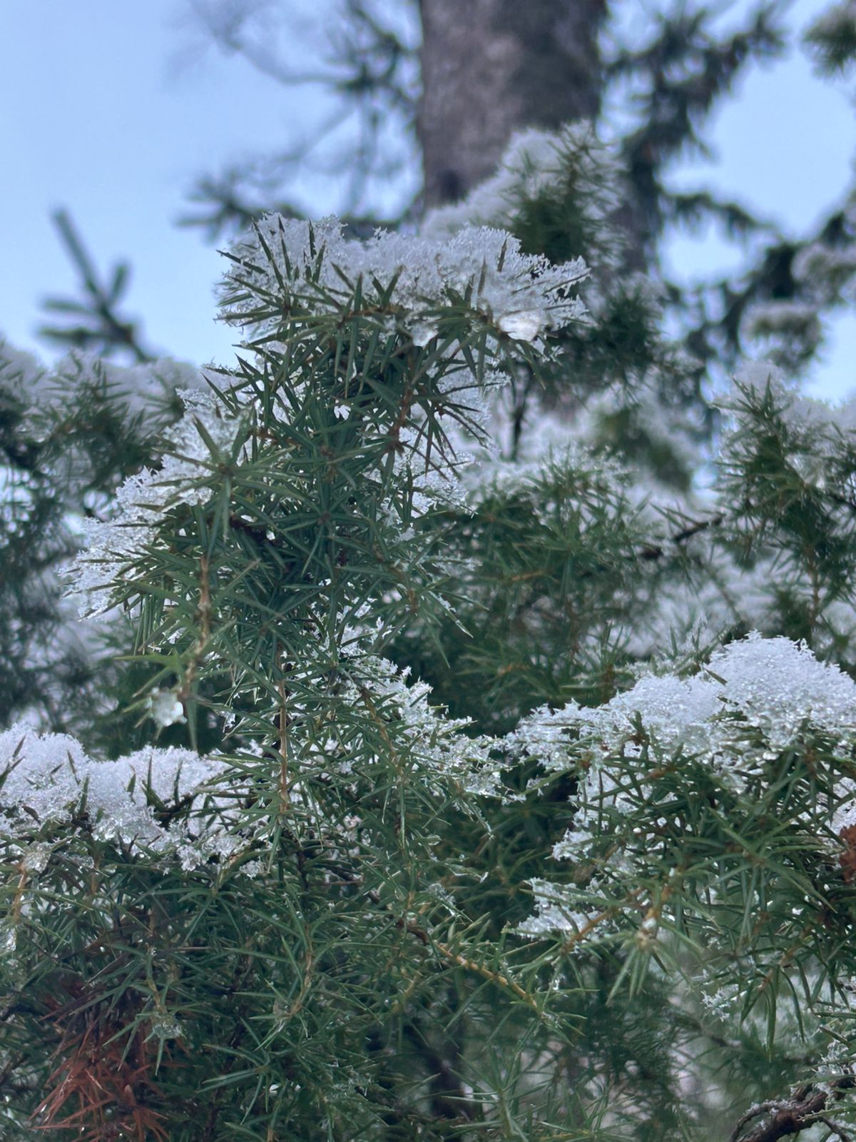 Фото Дом на Береговой