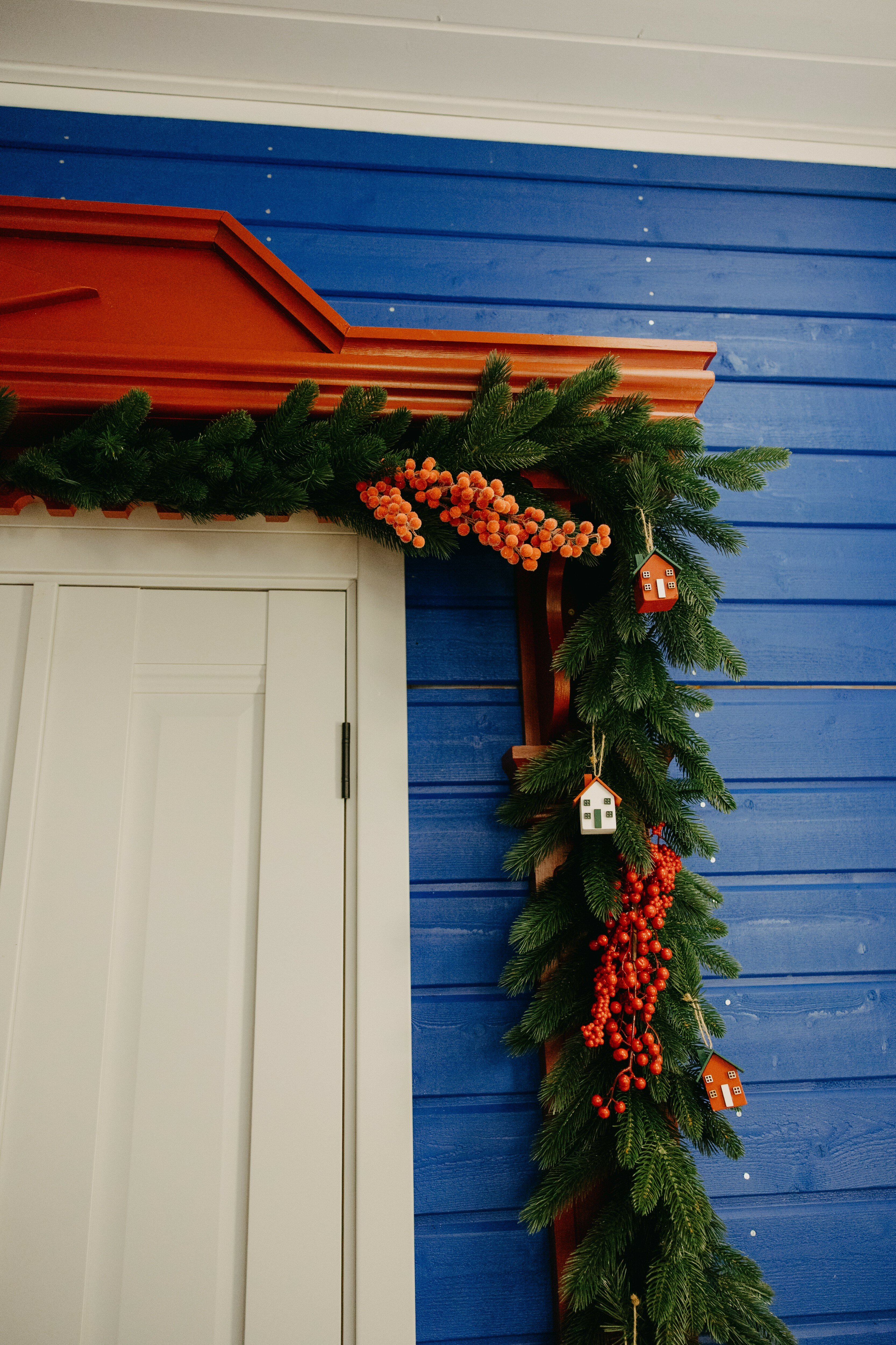 Фото Синяя синица