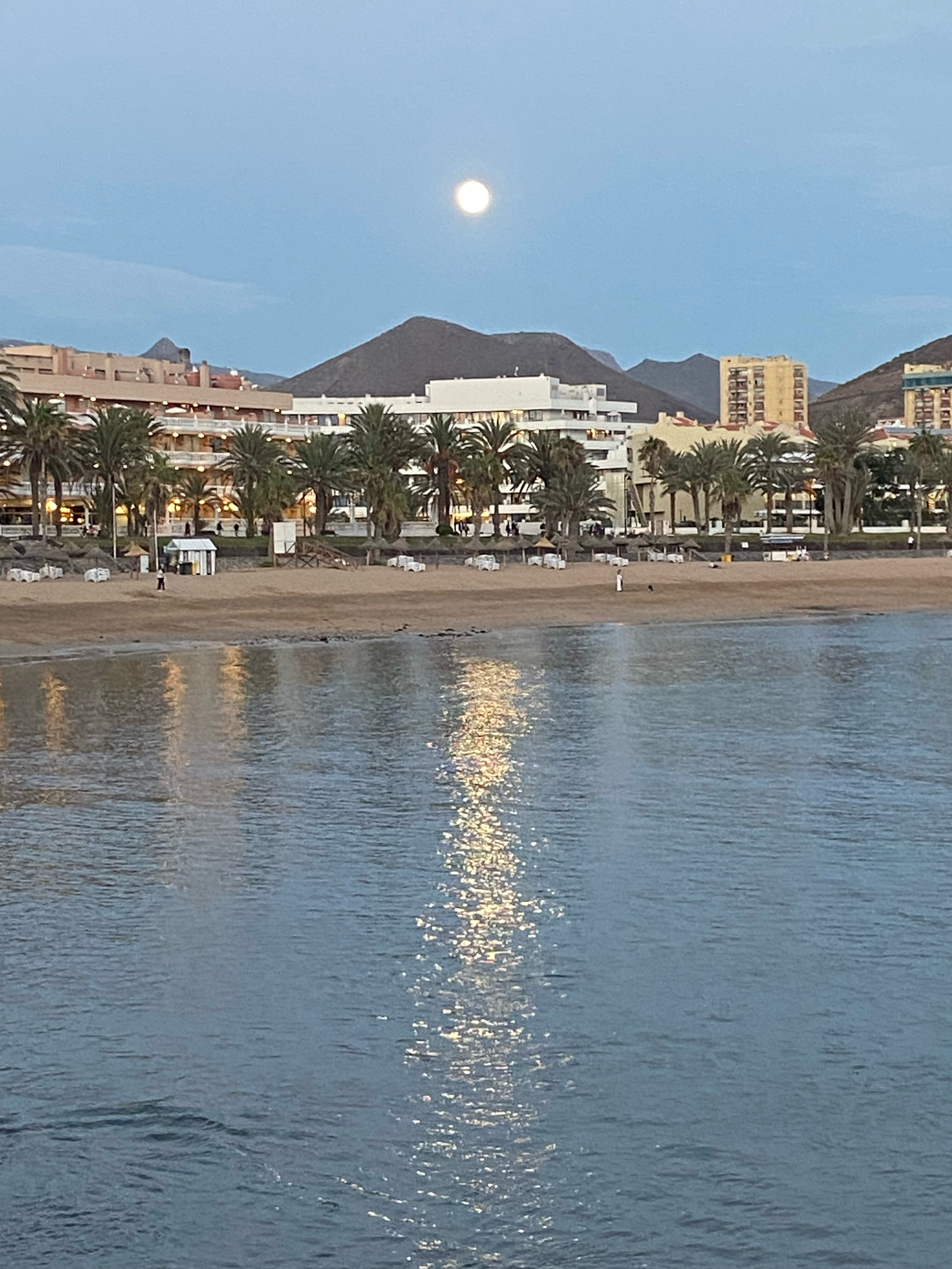 Фото Mediterranean Palace