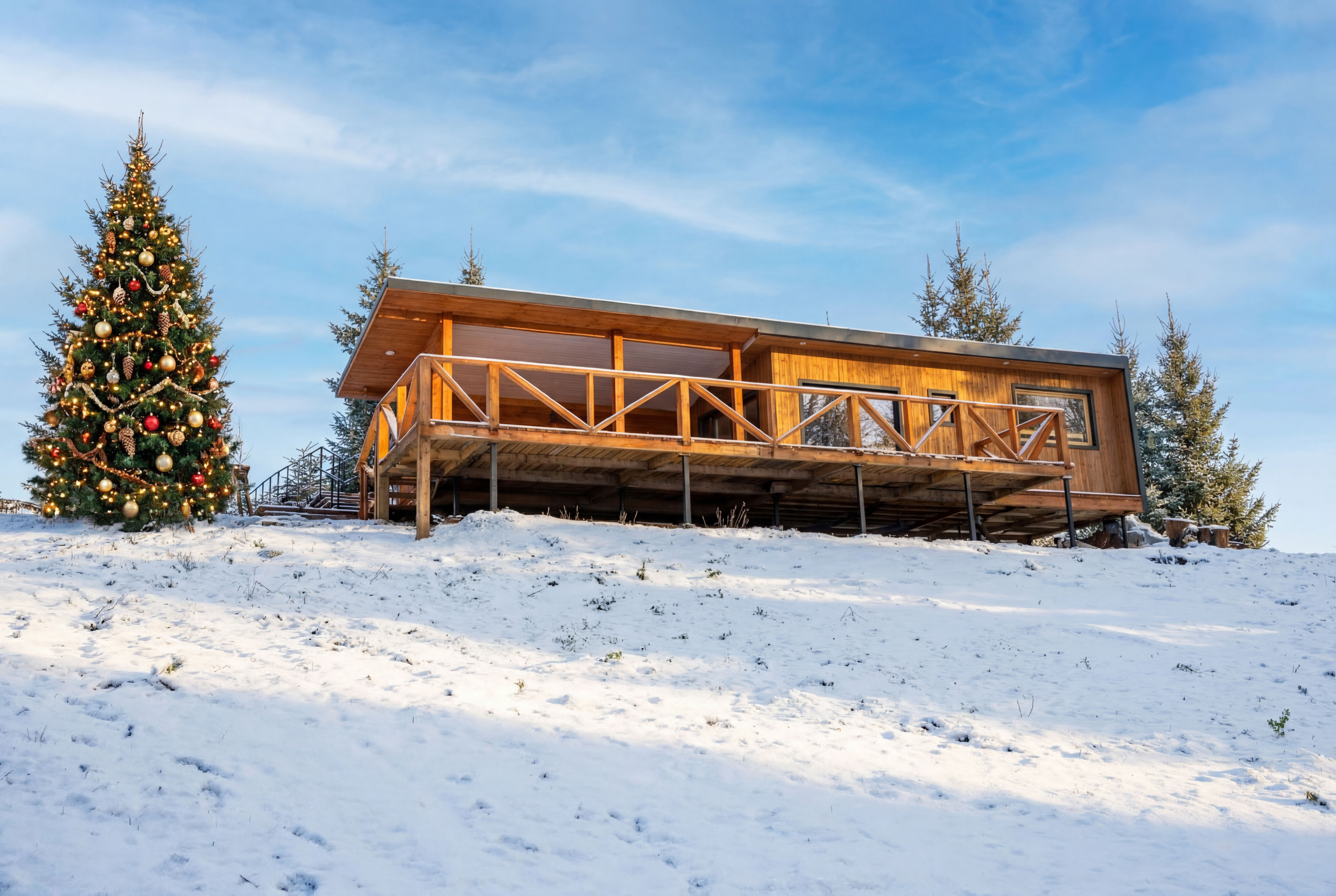 Фото Липовый цвет