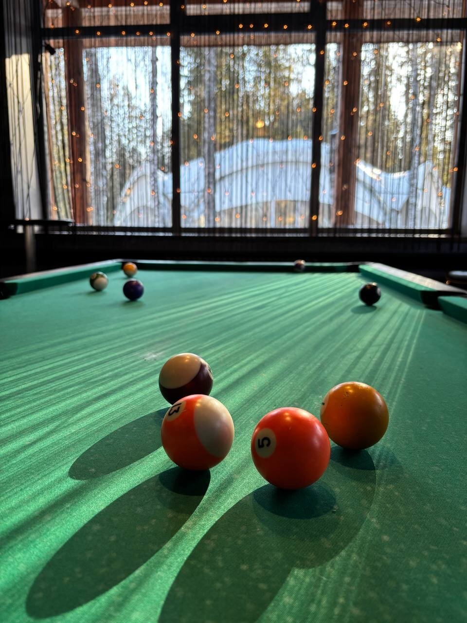 Фото Романов лес