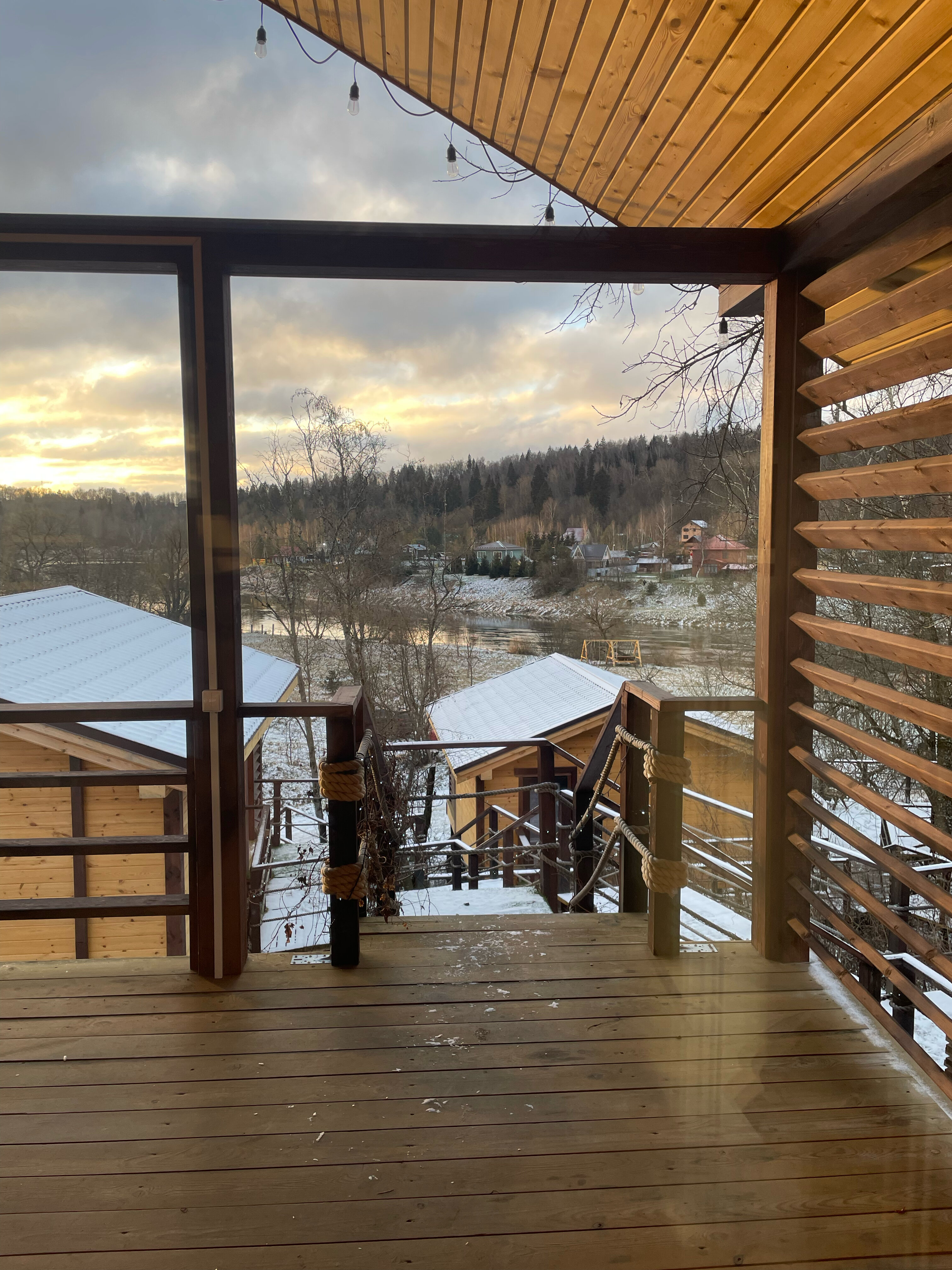 Фото Веселые гуси