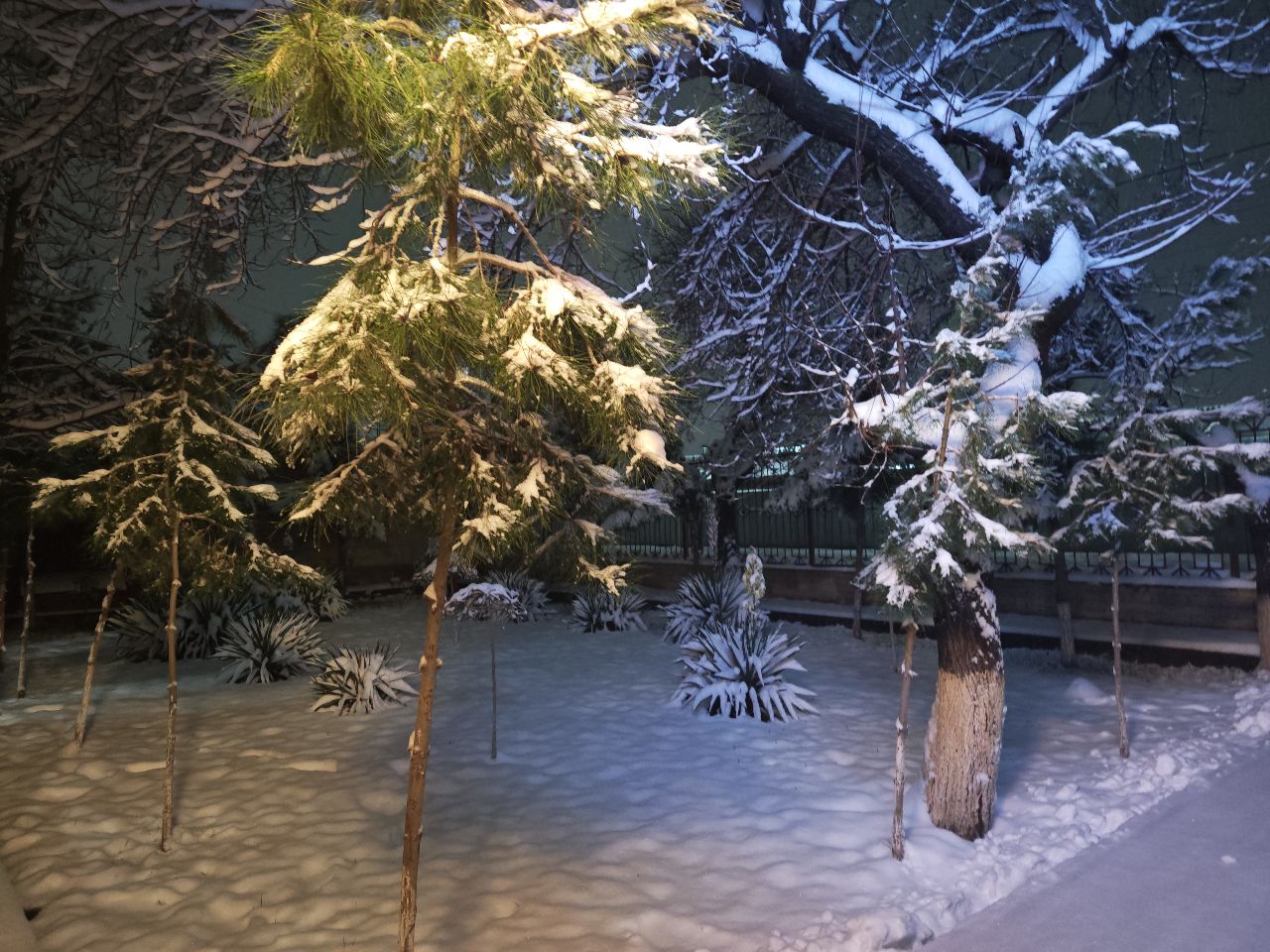 Фото 209067362784