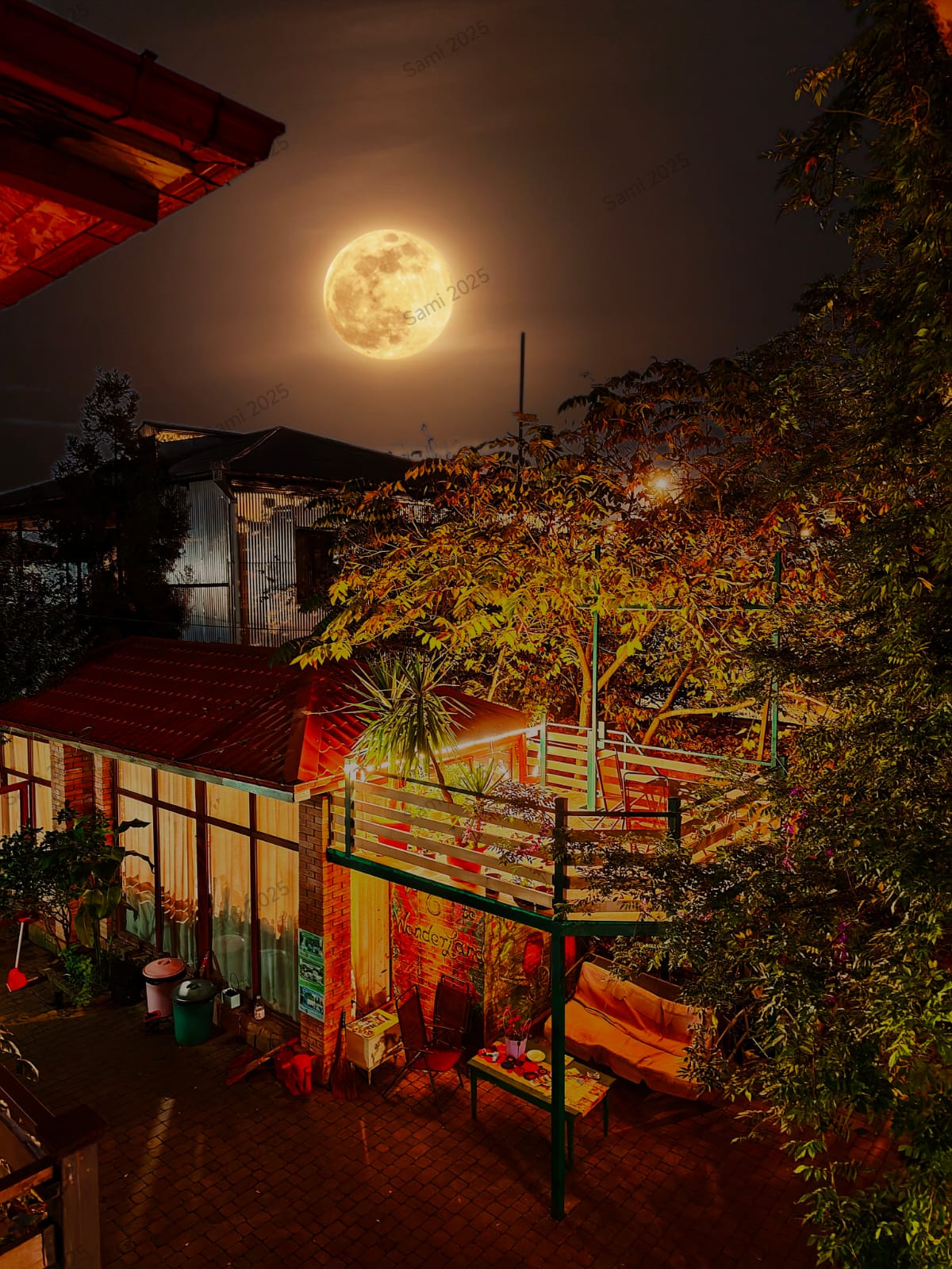 Фото Гостевой дом Батуми Wonderland