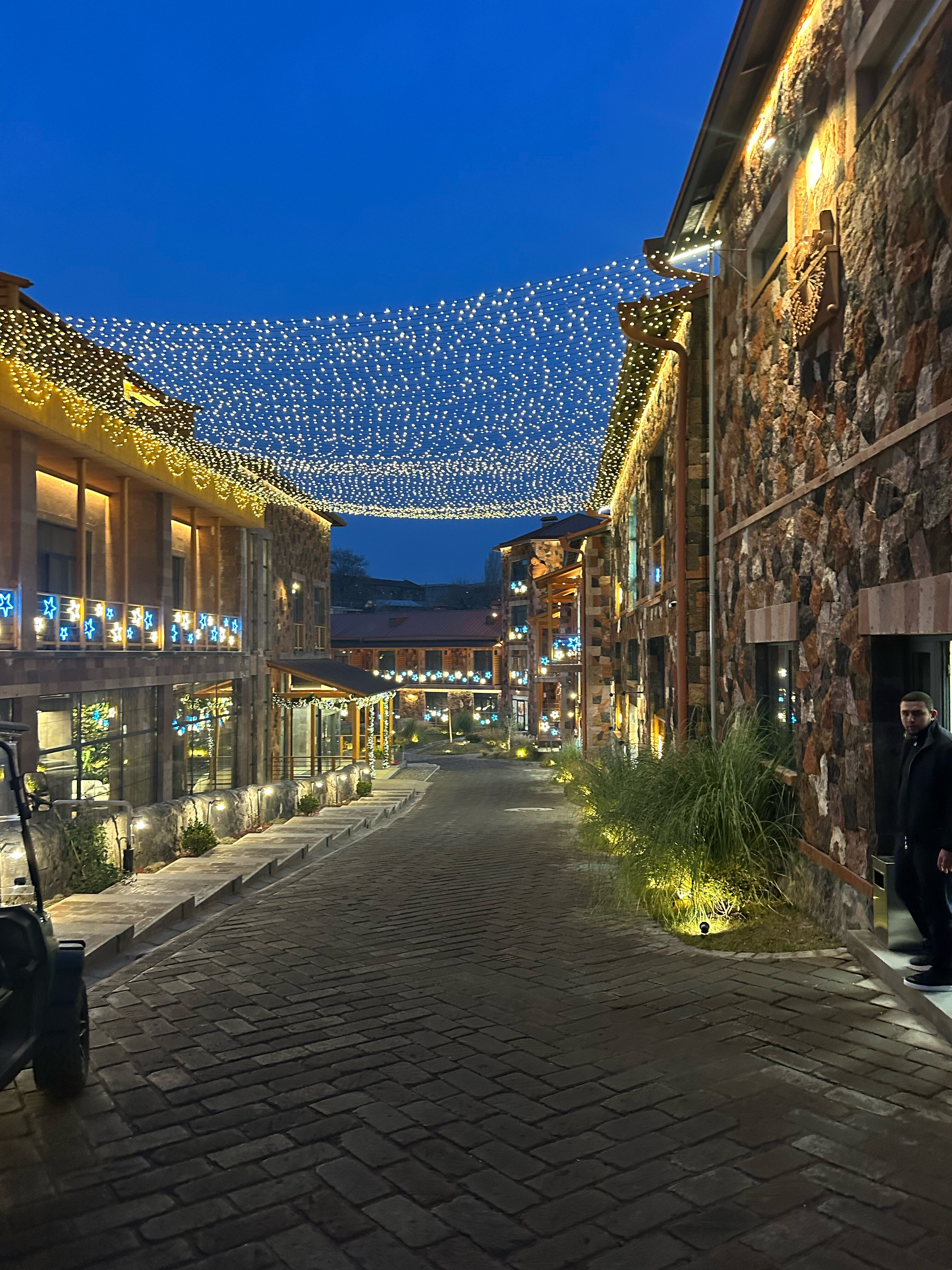 Фото Red Bridge Yerevan