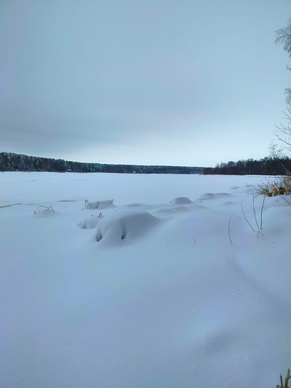 Фото Усадьба Волжское лесничество