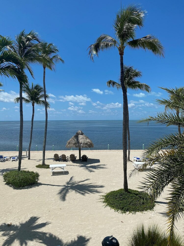 Фото Drop Anchor