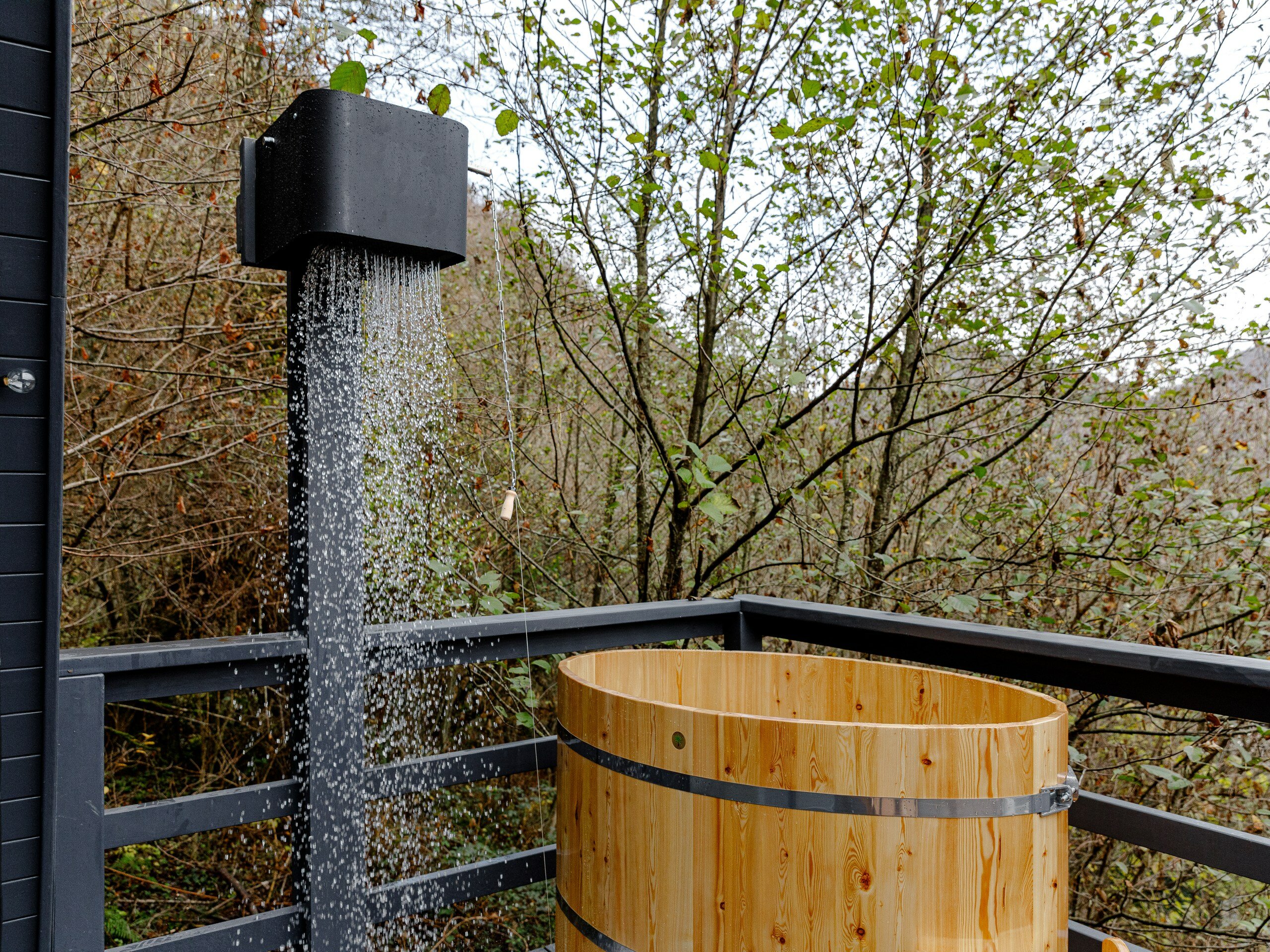 Фото Анвин Фишт