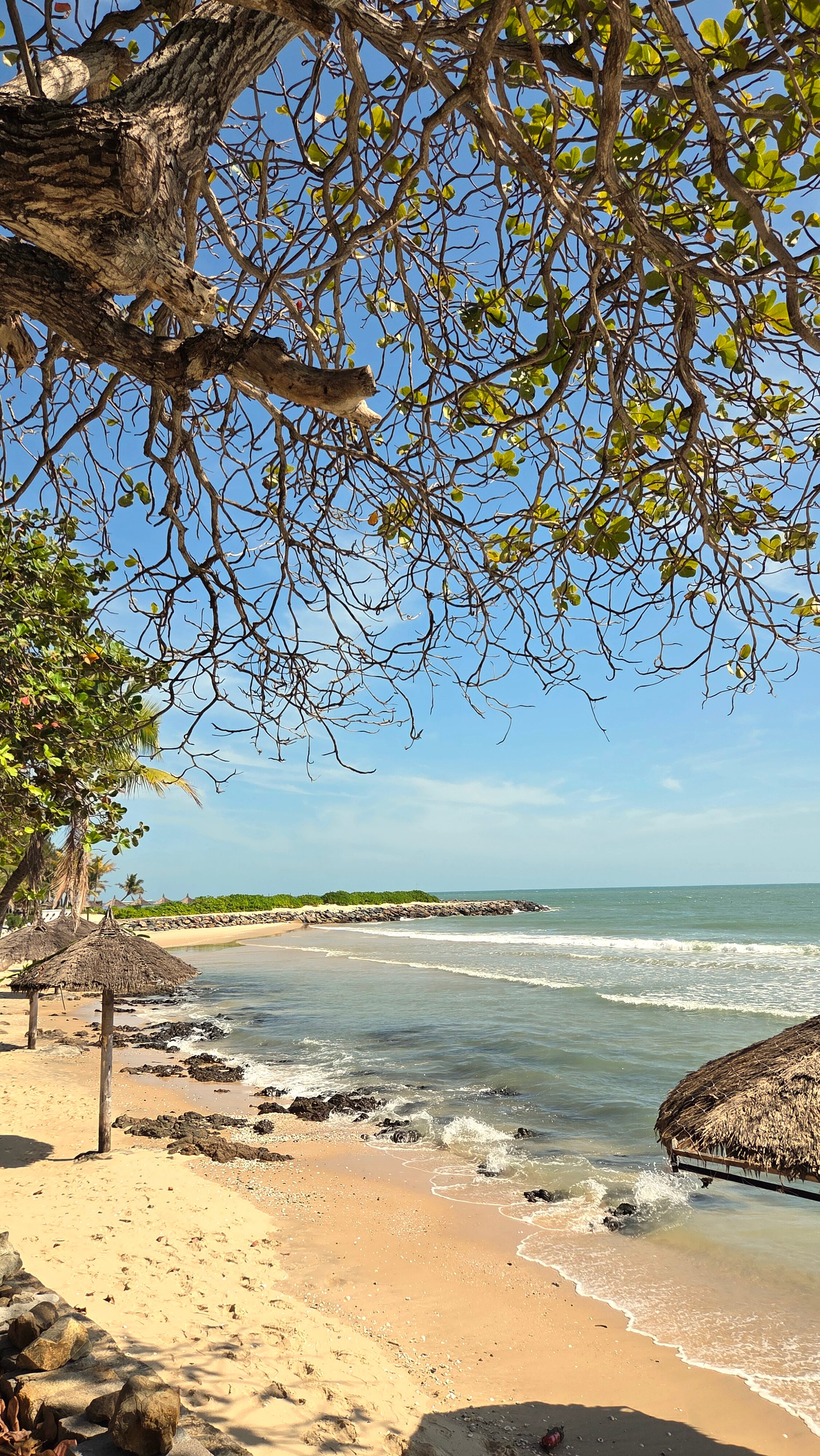 Фото Victoria Phan Thiet Beach Resort & SPA