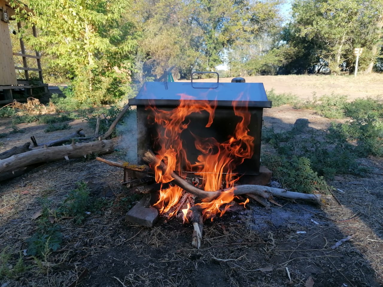 Фото Золотая Дельта