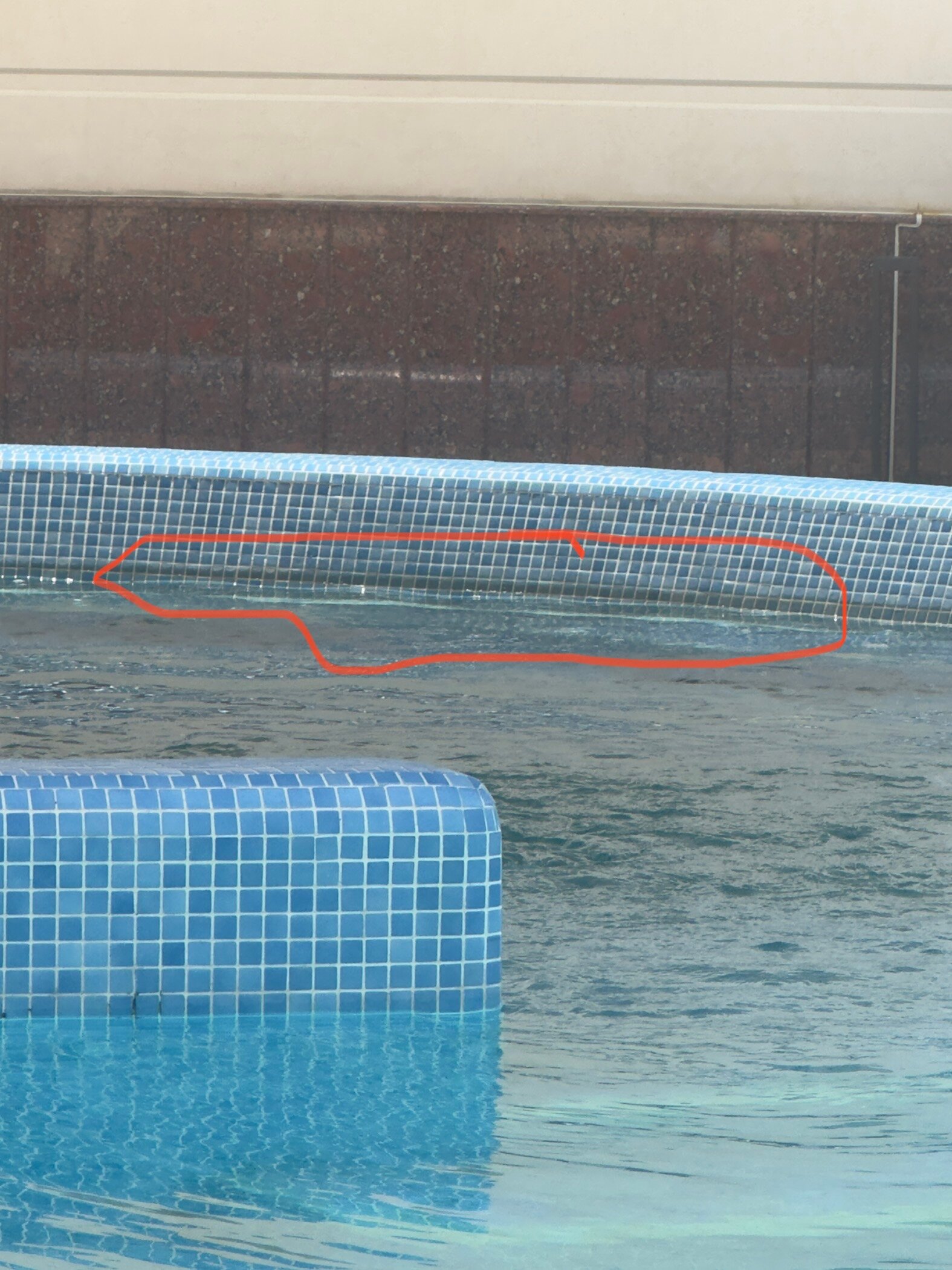 Фото Zarafshon Parkside Hotel