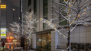 Гостиница Mitsui Garden Hotel Sapporo
