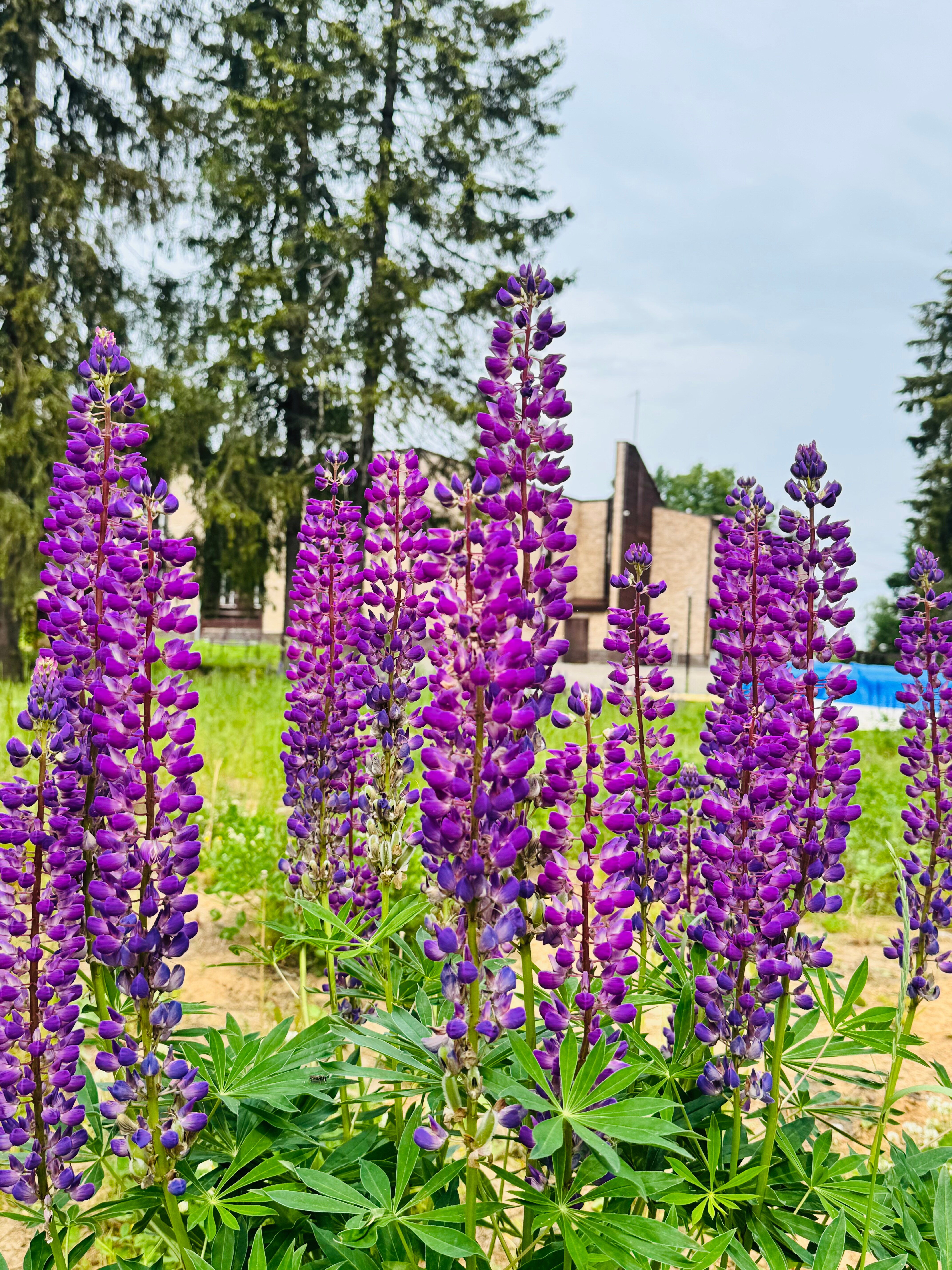 Фото Belikovo Club House