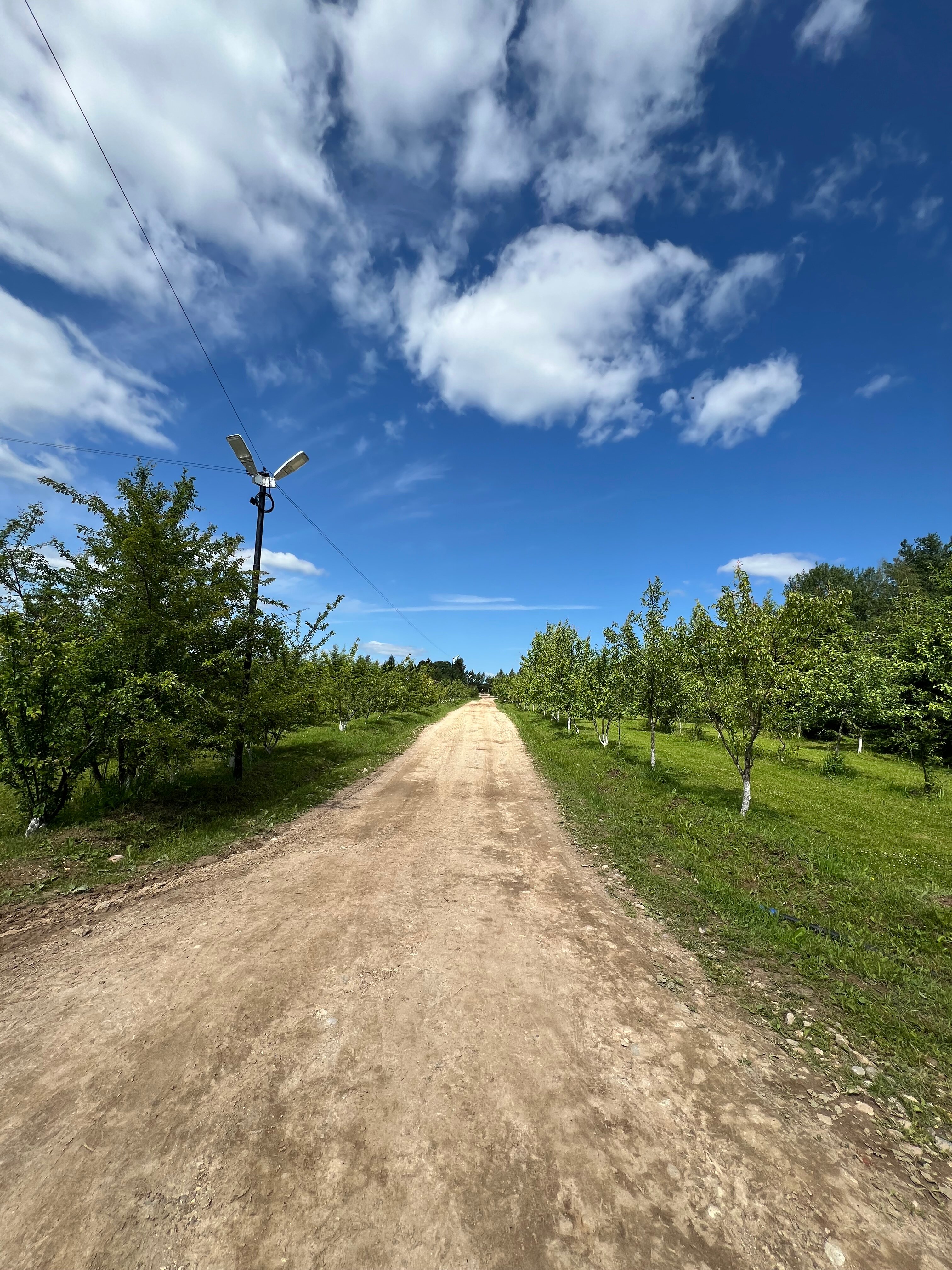 Фото Михайловское угодье