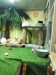 Няня пушистых (Pobedy Avenue, 116), pet hotel