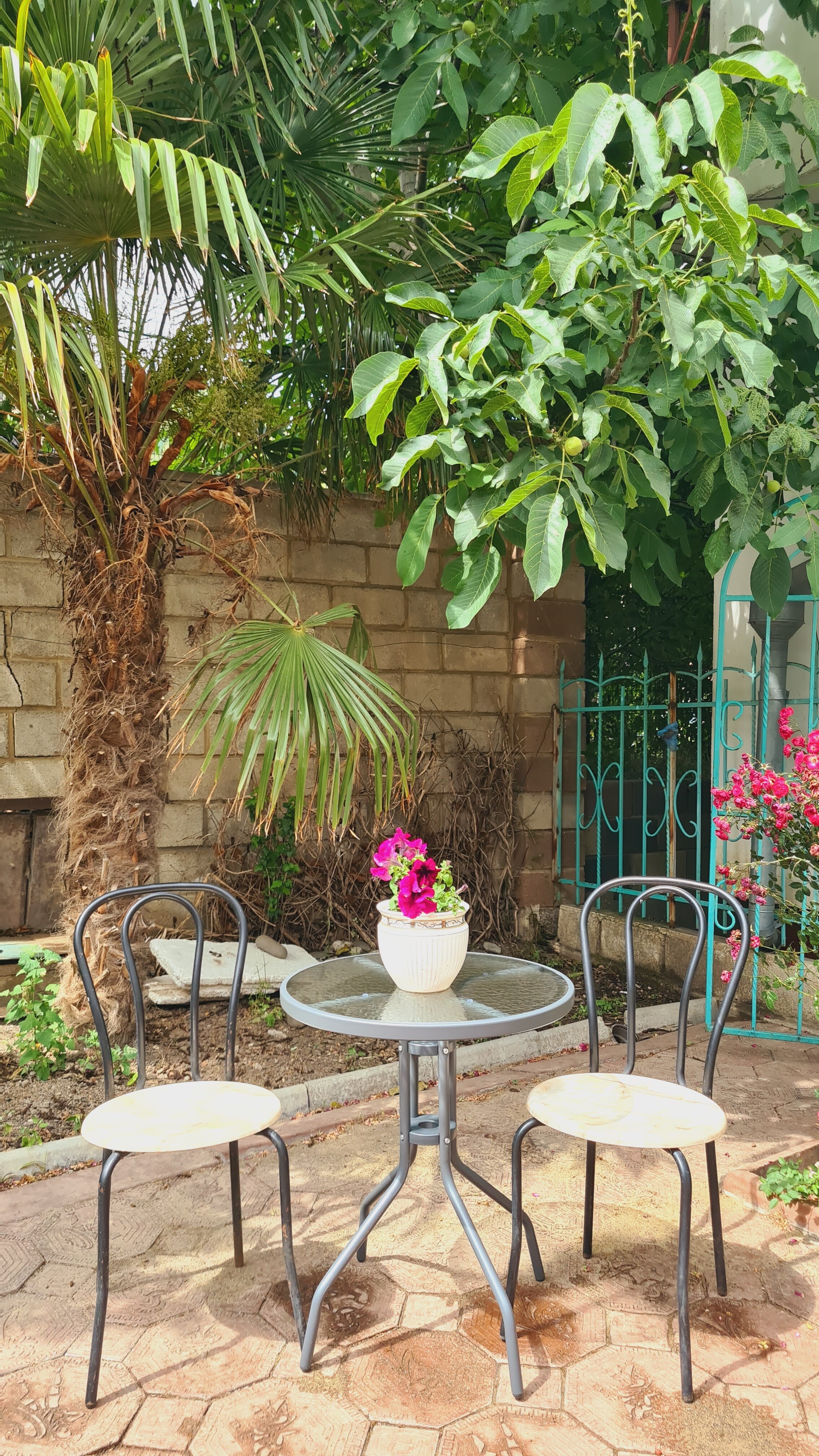 Фото Первая Линия