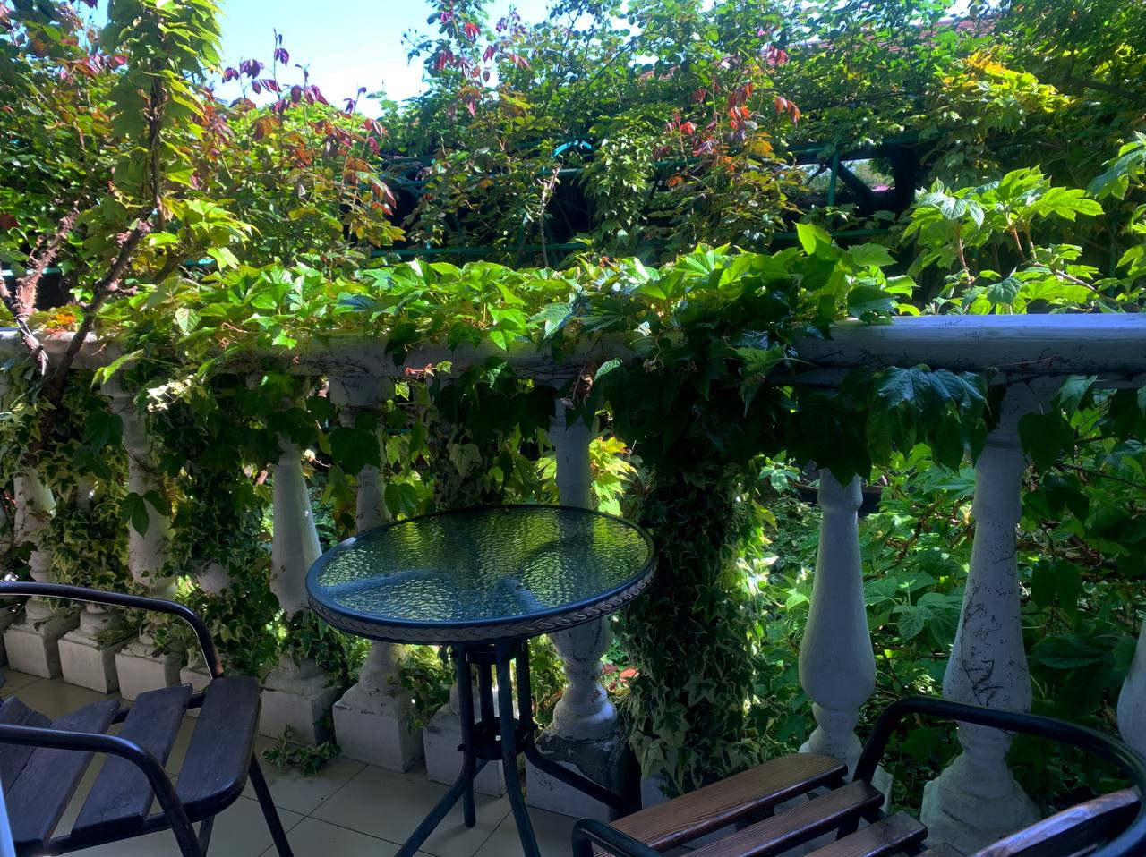 Фото Гестия