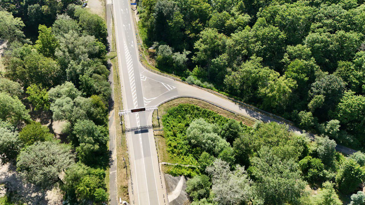 Фото Кактус Арт