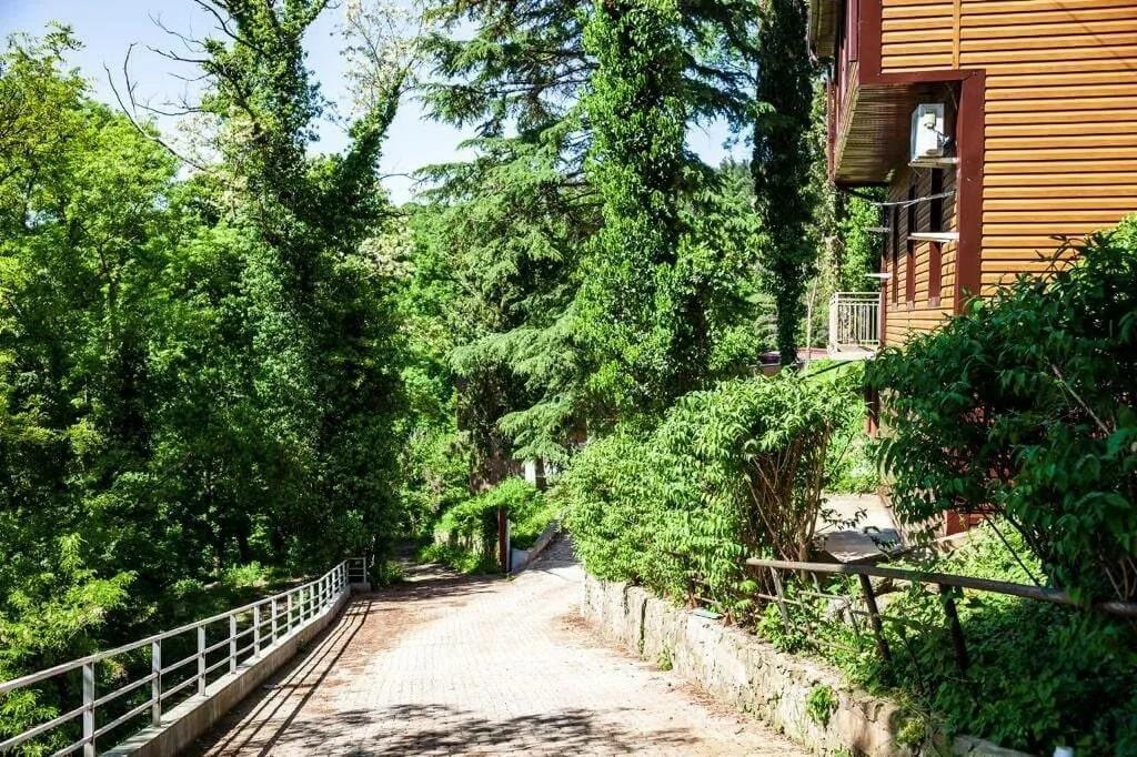 Фото Shepsi Family Club