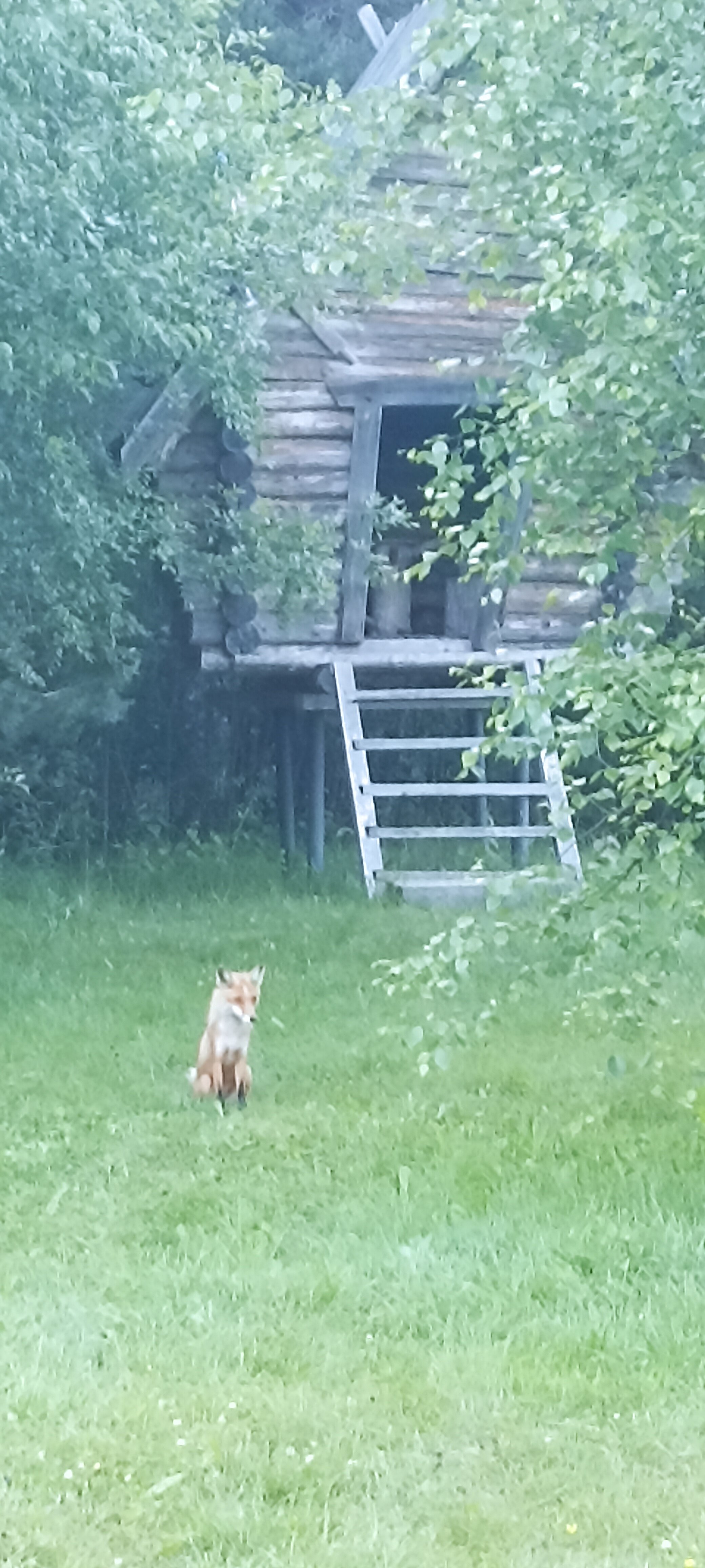 Фото Остров